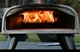 Aidpiza Pizza Oven 12 in Wood Pellet Outdoor Portable Backyard Woodfired Pizza